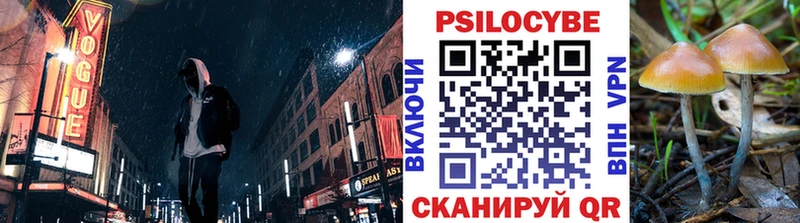мориарти какой сайт  Камешково  Псилоцибиновые грибы ЛСД 